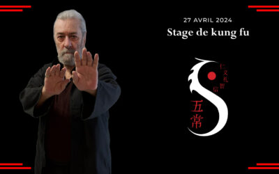Stage de kung fu